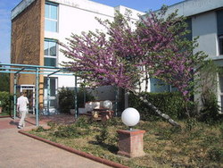 Clinique Castelviel à Castelmaurou