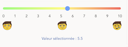 Echelle d'évaluation de la douleur en version adulte